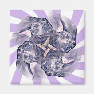 Blue Great Dane Pinwheel Magnet