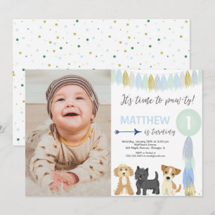 Blue green gold cute dog puppy boy birthday photo invitation