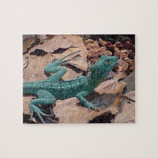 Blue Green Lizard Puzzle
