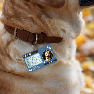 Blue Green Modern Dog ID Tag: Simple and Stylish Badge