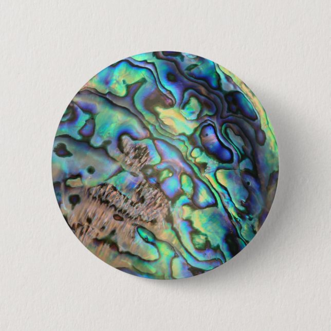 Blue green paua abalone shell detail 2 inch round button (Front)