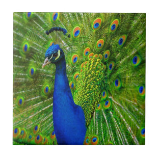 BLUE & GREEN PEACOCK CERAMIC TILE