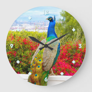Blue Green Peacock Photo Beautiful Modern Stylish Large Clock