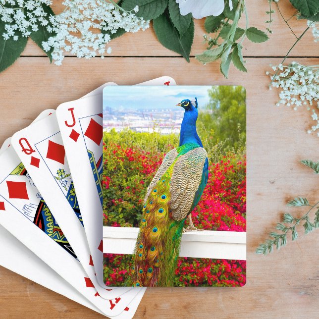 Blue Green Peacock Photo Beautiful Stylish Chic  Playing Cards (Creator Uploaded)