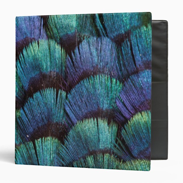 Blue-green pheasant feather design binder (Front/Inside)