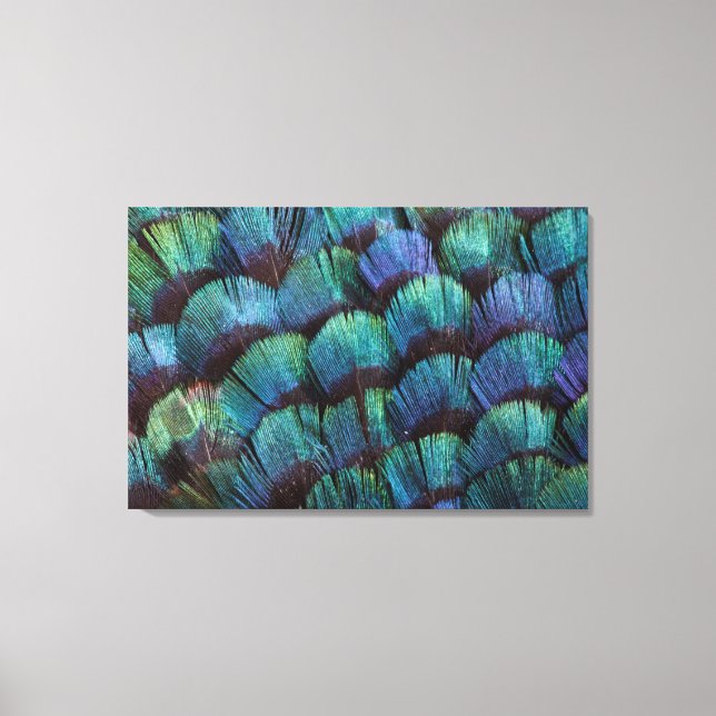 Blue-green pheasant feather design canvas print (Front)