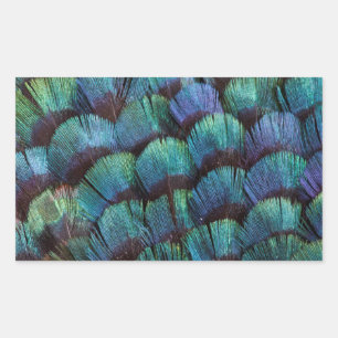 Blue-green pheasant feather design sticker