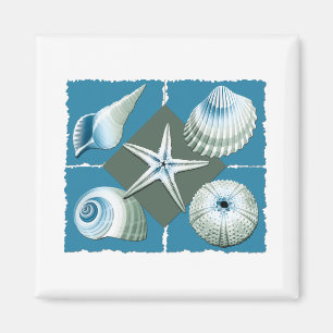 Blue & Green Sea Shells Magnet