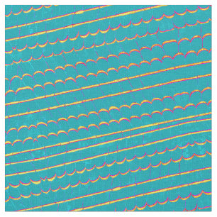 blue-green shingle pattern Thunder_Cove Fabric