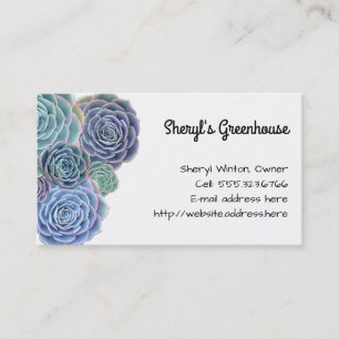 Blue Green Succulents Custom Template Business Card