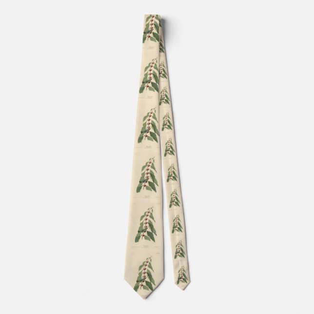 Blue-green Warbler from Audubon's Birds of America Tie (Front)