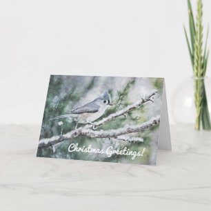 Blue Grey Bird in Snow Christmas Card