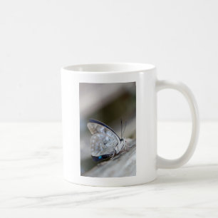 Blue Grey Butterfly Coffee Mug