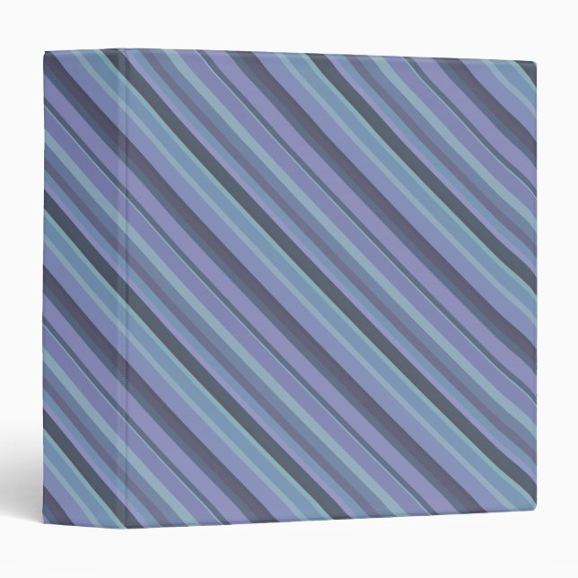 Blue-grey diagonal stripes binder (Front/Spine)