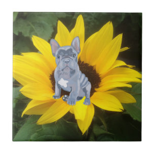 Blue Grey French Bulldog Puppy and Sunflower Tile