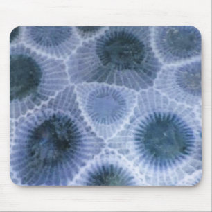 Blue Grey Petoskey Stone Mouse Pad