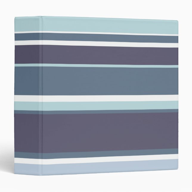 Blue-grey stripes binder (Front/Spine)