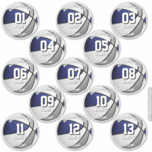 blue grey team colours 13 basketball players names