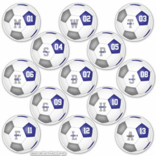 blue grey team colours set of 13 soccer