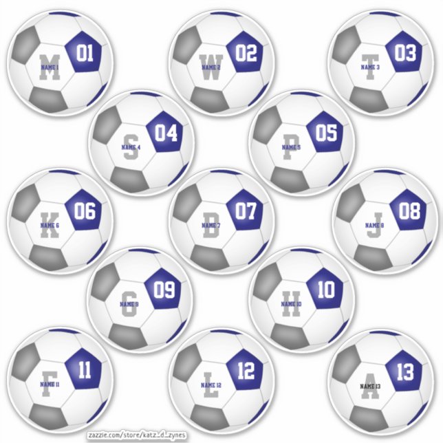 blue grey team colours set of 13 soccer (Front)