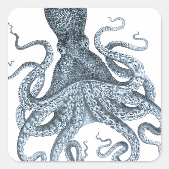 Blue Grey Vintage Octopus Illustration Square Sticker (Front)