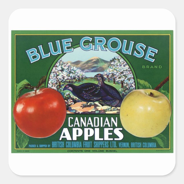 Blue Grouse Canadian Apples Square Sticker (Front)