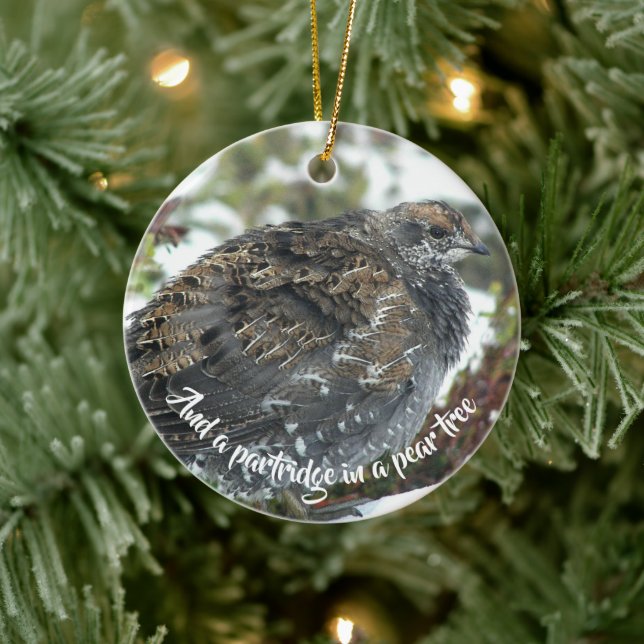 Blue Grouse in Snow Holiday Ceramic Ornament (Tree)