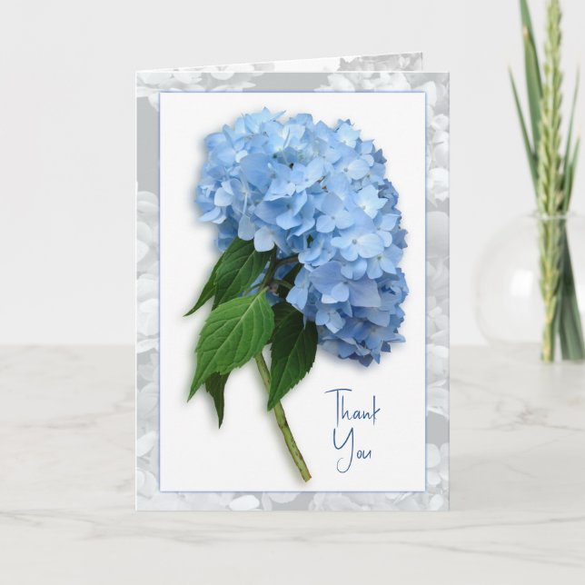 Blue Heaven Hydrangea sur la pierre Merci Carte de (Devant)