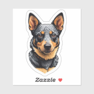 Blue Heeler