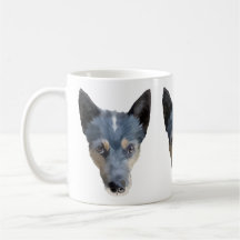 Blue Heeler / Australian Cattle Dog