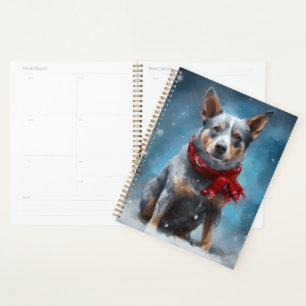 Blue Heeler dans la neige de Noël