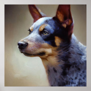 Blue Heeler Dog  Poster