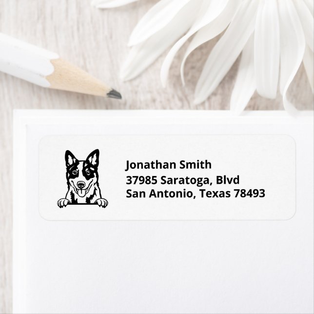 BLUE HEELER | Image on Return Address (Insitu)