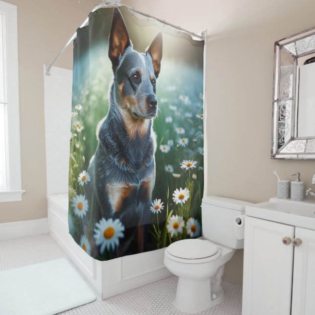 Blue Heeler in Daisies  (In Situ)
