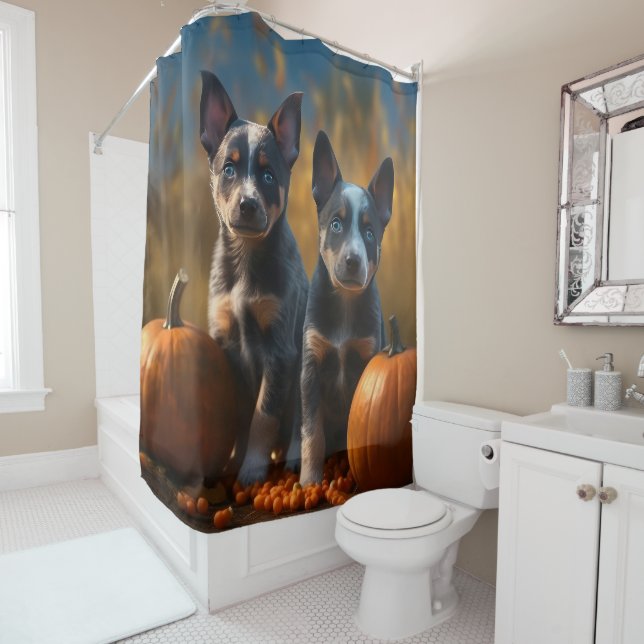 Blue Heeler Puppy Autumn Delight Pumpkin (In Situ)