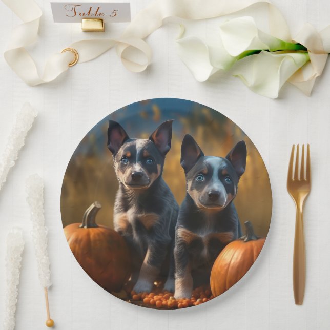 Blue Heeler Puppy Autumn Delight Pumpkin Paper Plate (Wedding)