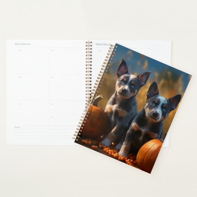 Blue Heeler Puppy Autumn Delight Pumpkin Planner (Display)