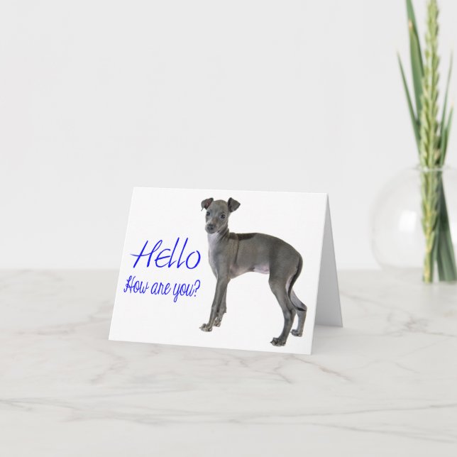 Blue Hello Gray Italian Greyhound Puppy Dog Card (Front)