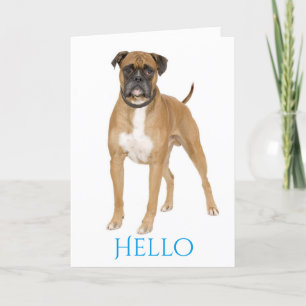 Blue Hello / Hi Boxer Puppy - Brown & White Dog Card
