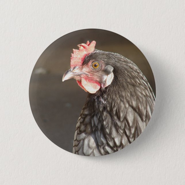 Blue Hen 2 Inch Round Button (Front)