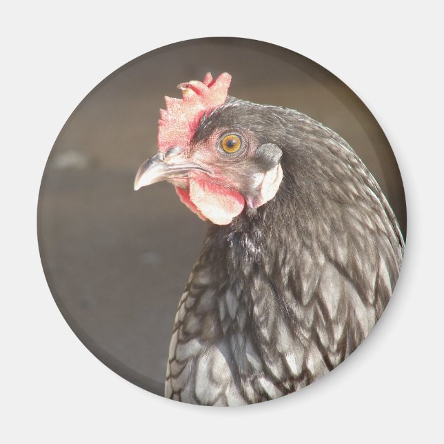 Blue Hen Magnet (Front)