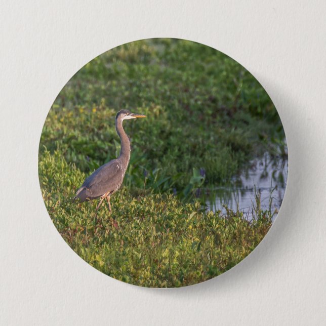 Blue Heron 3 Inch Round Button (Front)