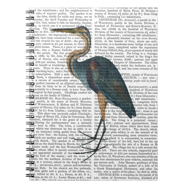 Blue Heron 3 Notebook (Front)