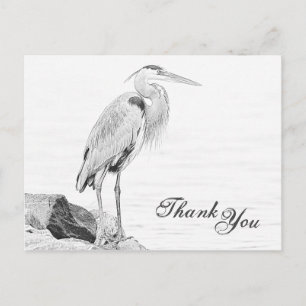 Blue Heron and Rocks, Water Bird Sketch Thank You Postcard
