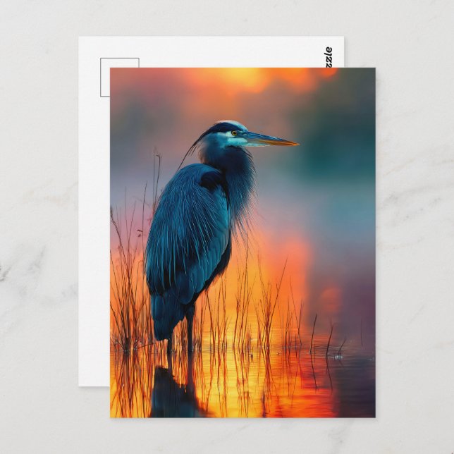 Blue Heron at Sunrise Postcard (Front/Back)