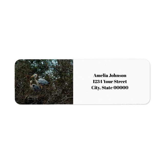 Blue Heron Birds Nest Personalize Return Address (Front)