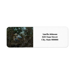 Blue Heron Birds Nest Personnaliser Adresse de ret