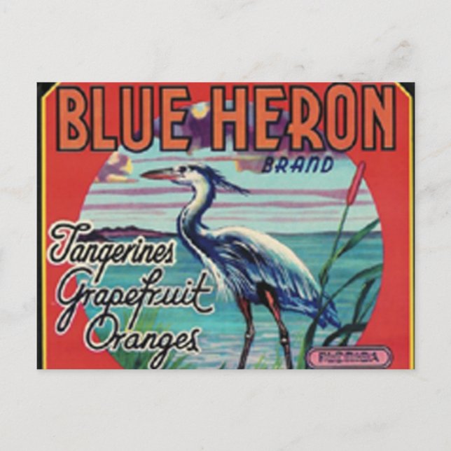 blue heron brand postcard (Front)
