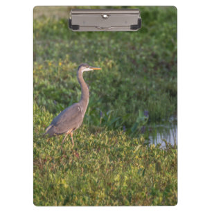 Blue Heron Clipboard
