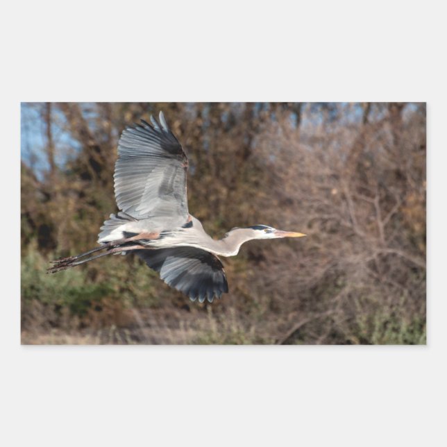 Blue Heron in flight Sticker (Front)
